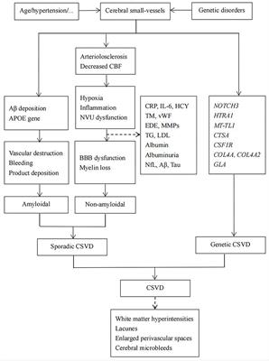 Biomarkers involved in the pathogenesis of cerebral small-vessel disease